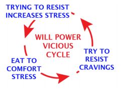 Will Power Vicious Circle